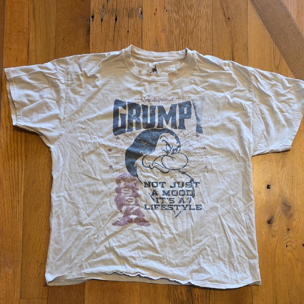 Disney Parks Grumpy Graphic T-Shirt XL